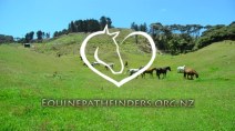 equinepathfinders logo